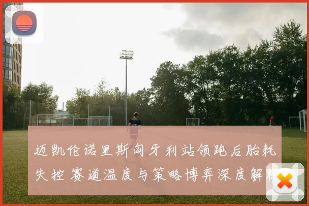 迈凯伦诺里斯匈牙利站领跑后胎耗失控 赛道温度与策略博弈深度解析