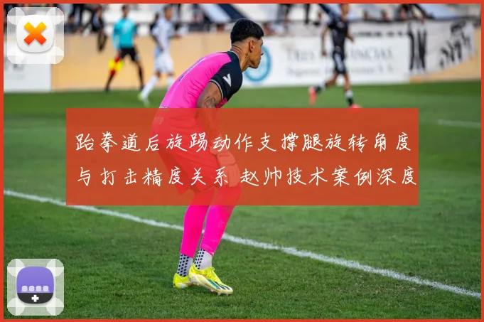 跆拳道后旋踢动作支撑腿旋转角度与打击精度关系 赵帅技术案例深度剖析