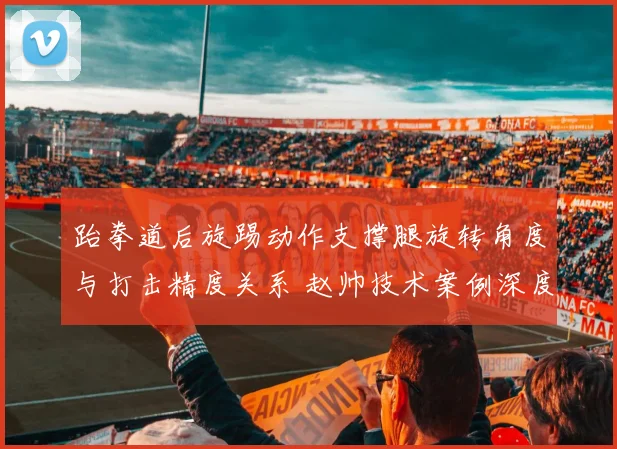 跆拳道后旋踢动作支撑腿旋转角度与打击精度关系 赵帅技术案例深度剖析